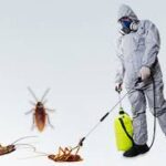 شركة رش مبيدات الحشرات بالقصيم 